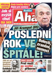 Obálka Nedělní Aha! - 9/2024
