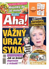 Obálka Nedělní Aha! - 17/2024