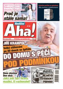 Obálka Nedělní Aha! - 24/2024