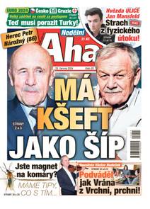 Obálka Nedělní Aha! - 25/2024