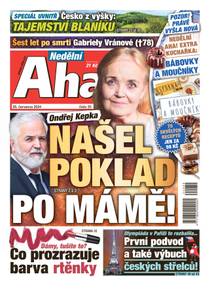 Obálka Nedělní Aha! - 30/2024