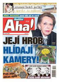 Obálka Nedělní Aha! - 31/2024