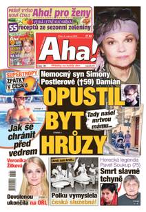 Obálka Aha! - 6.8.2024