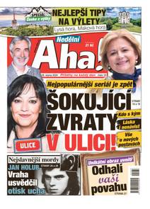 Obálka Nedělní Aha! - 33/2024