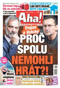 Obálka Aha! - 7.9.2024