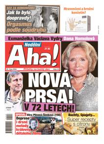 Obálka Nedělní Aha! - 42/2024
