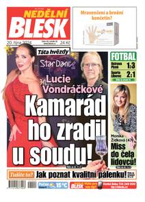 Obálka NEDĚLNÍ BLESK - 42/2024