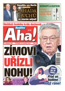 Obálka Nedělní Aha! - 45/2024