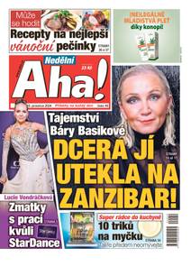 Obálka Nedělní Aha! - 49/2024