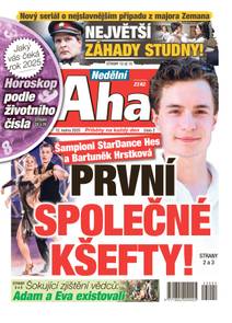 Obálka Nedělní Aha! - 2/2025
