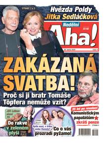 Obálka Nedělní Aha! - 4/2025
