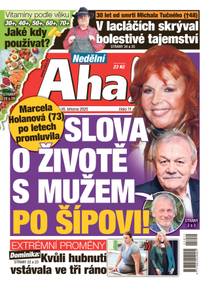 Obálka Nedělní Aha! - 11/2025