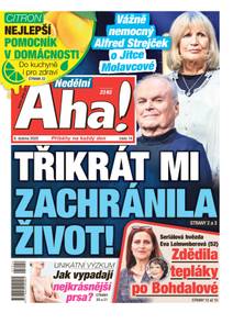 Obálka Nedělní Aha! - 14/2025