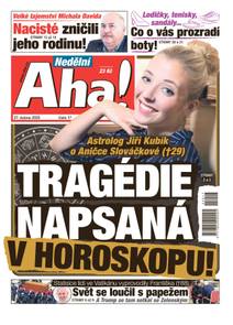 Obálka Nedělní Aha! - 17/2025