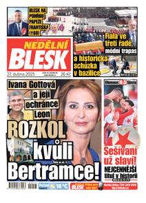 Obálka NEDĚLNÍ BLESK - 17/2025