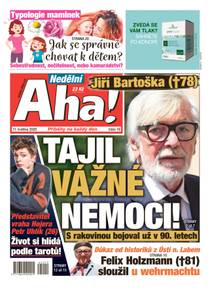Obálka Nedělní Aha! - 19/2025
