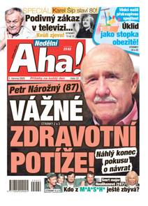 Obálka Nedělní Aha! - 22/2025