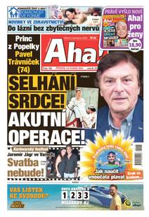Obálka Aha! - 8.7.2025