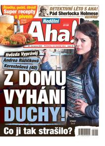 Obálka Nedělní Aha! - 29/2025