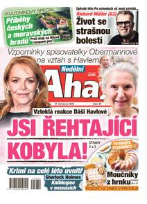 Obálka Nedělní Aha! - 30/2025
