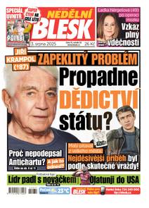 Obálka NEDĚLNÍ BLESK - 31/2025