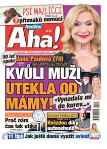 Obálka Nedělní Aha! - 41/2025