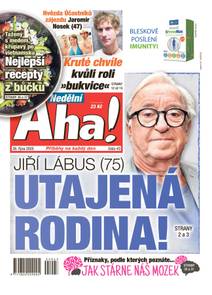 Obálka Nedělní Aha! - 43/2025