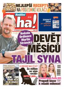 Obálka Nedělní Aha! - 45/2025