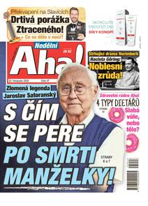 Obálka Nedělní Aha! - 47/2025
