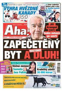 Obálka Aha! - 13.2.2026