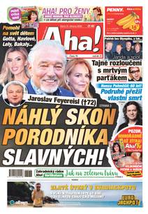 Obálka Aha! - 31.3.2026