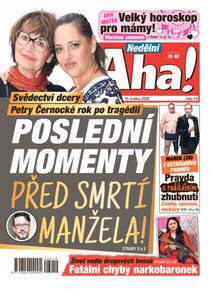Obálka Nedělní Aha! - 19/2026