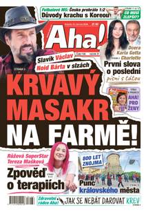 Obálka Aha! - 13.6.2026