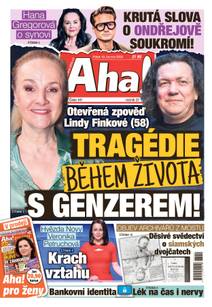 Obálka Aha! - 19.6.2026