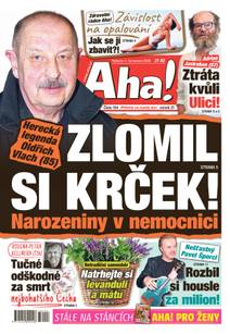 Obálka Aha! - 4.7.2026