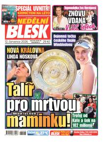 Obálka NEDĚLNÍ BLESK - 28/2026