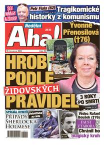 Obálka Nedělní Aha! - 29/2026