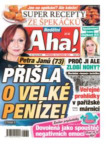 Obálka Nedělní Aha! - 34/2026