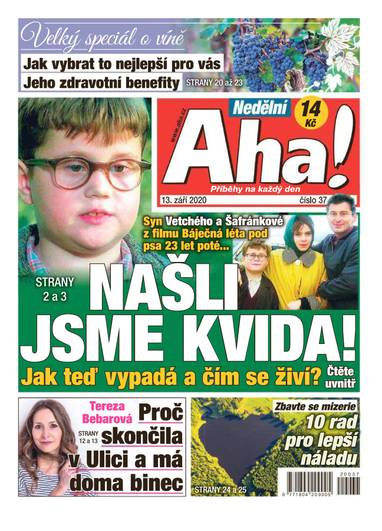 Nedělní Aha! - 37/2020 - CZECH NEWS CENTER a. s.