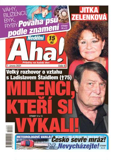 Nedělní Aha! - 6/2021 - CZECH NEWS CENTER a. s.