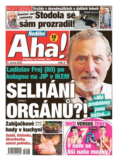 Nedělní Aha! - 6/2022 - CZECH NEWS CENTER a. s.
