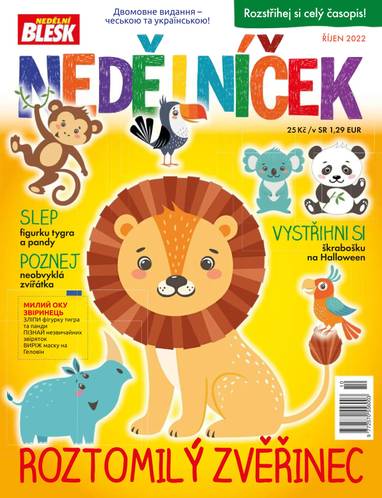 Časopis NEDĚLNÍČEK - 10/2022 - CZECH NEWS CENTER a. s.
