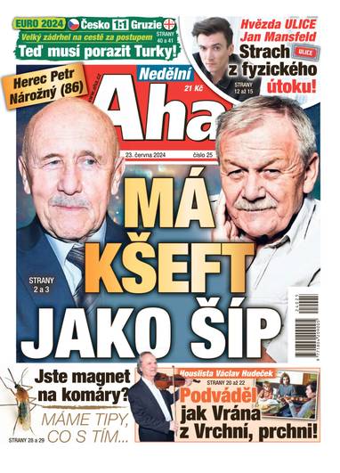 Nedělní Aha! - 25/2024 - CZECH NEWS CENTER a. s.