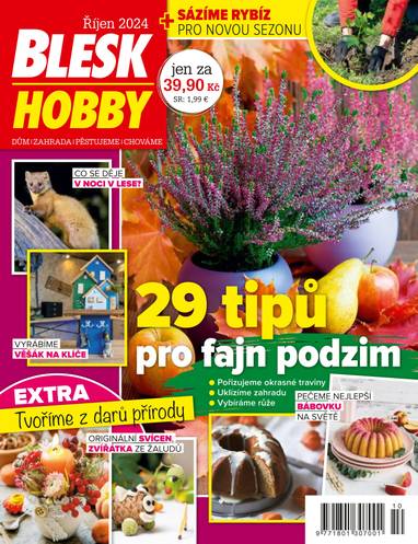 Časopis BLESK HOBBY - 10/2024 - CZECH NEWS CENTER a. s.