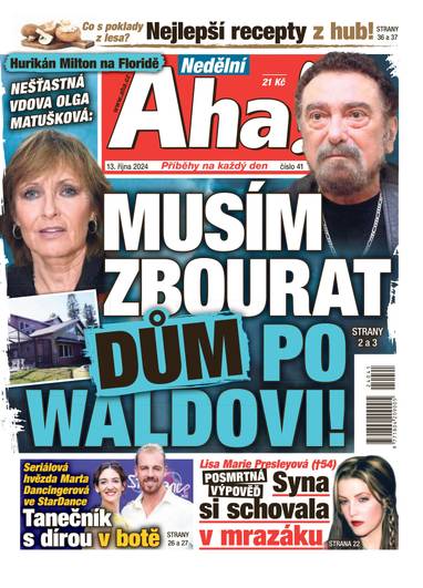 Nedělní Aha! - 41/2024 - CZECH NEWS CENTER a. s.