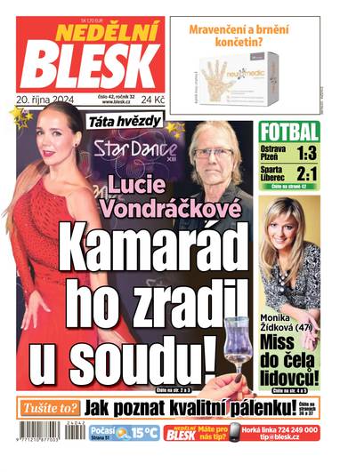 NEDĚLNÍ BLESK - 42/2024 - CZECH NEWS CENTER a. s.