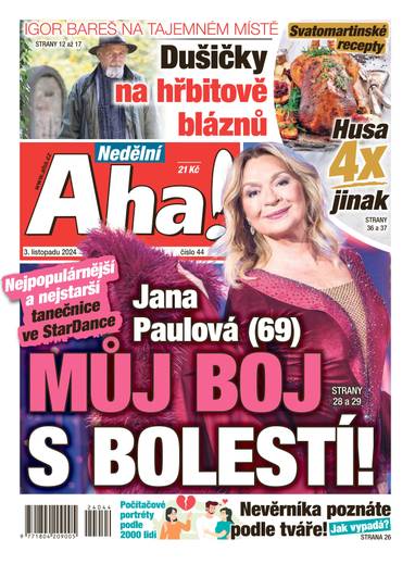 Nedělní Aha! - 44/2024 - CZECH NEWS CENTER a. s.