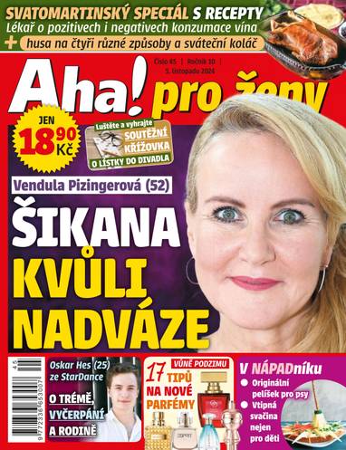 Časopis Aha! pro ženy - 45/2024 - CZECH NEWS CENTER a. s.