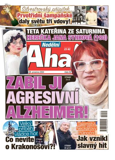 Nedělní Aha! - 52/2024 - CZECH NEWS CENTER a. s.