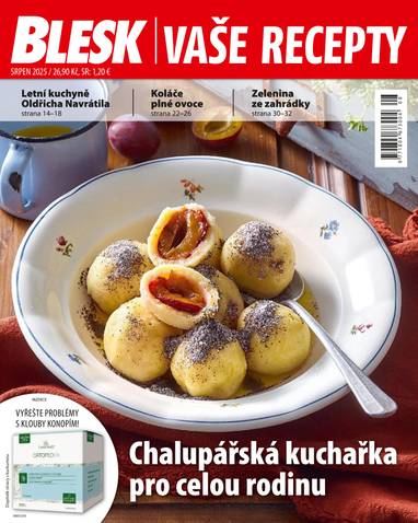Časopis BLESK VAŠE RECEPTY - 8/2025 - CZECH NEWS CENTER a. s.